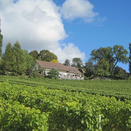 Domaine Beauregard Hotel Rolle Buitenkant foto