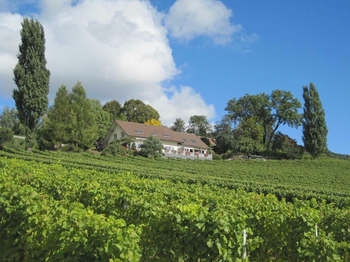 Domaine Beauregard Hotel Rolle Buitenkant foto